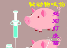 图说健康:外出旅游意外受伤 急救常识帮你忙 图说健康:外出旅游意外受伤 急救常识帮你忙