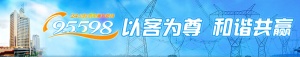 V늾W(wng)˾95598W(wng)ϠII(y)d