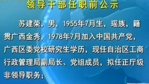 领导干部任职前公示-广西网视