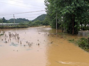 新一轮暴雨袭赣 局地农田受淹房屋倒塌