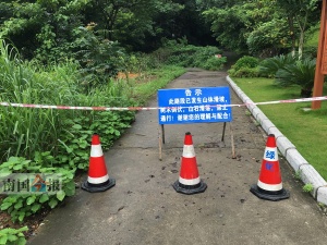 点击欣赏 点击欣赏