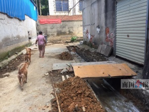 点击欣赏 点击欣赏