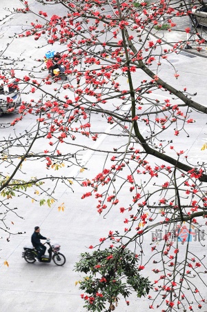 4月6日焦点图：南宁将突出发展六大服务业集聚区