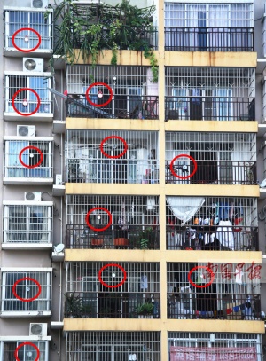 点击欣赏 点击欣赏