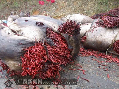[独家]南百高速一拖车自燃 价值30多万的辣椒被
