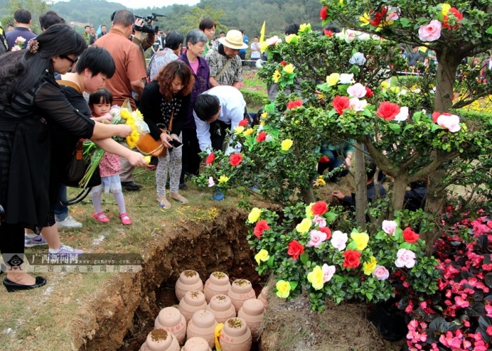 高清:广西举行首次花坛葬集体安葬活动(12/15)