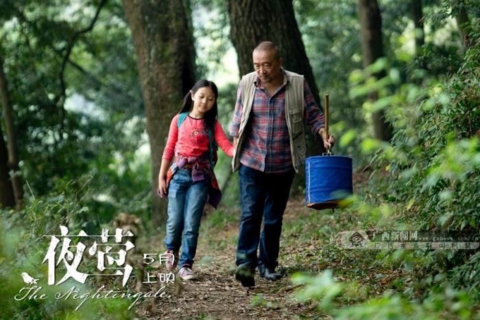 夜莺《影片》:法国式a夜莺描述中国白鹭惬意v夜莺(10/24)百姓进家里了图片