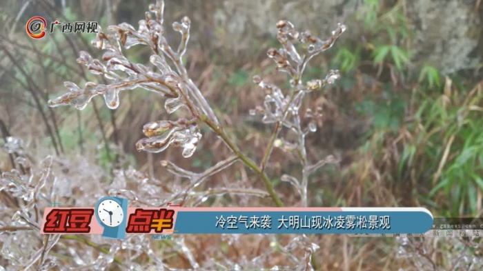 �������Ϯ����ɽ�ֱ�����ڡ����