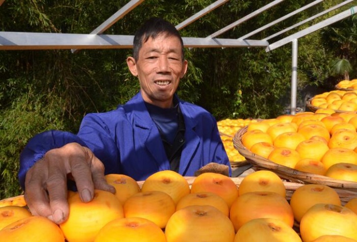 �������ǣ���ũɹ������