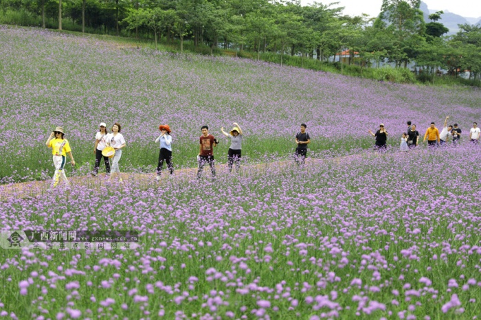 游客在来宾市忻城县薰衣草庄园景区花海中赏花游玩.