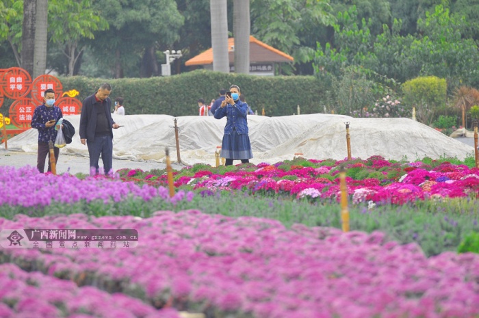 快来和鲜花浪漫相约南宁醉美花海迎客图1010