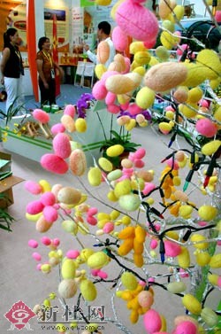 乳白色的蚕茧大家一定都很熟悉