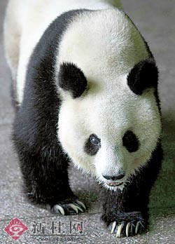 新桂新闻图片