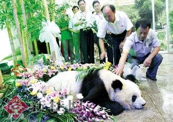 新桂新闻图片