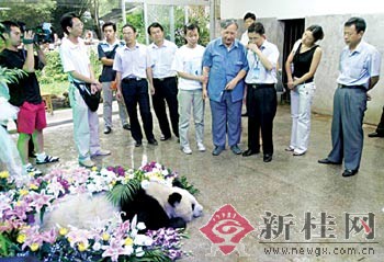 新桂新闻图片