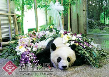 新桂新闻图片