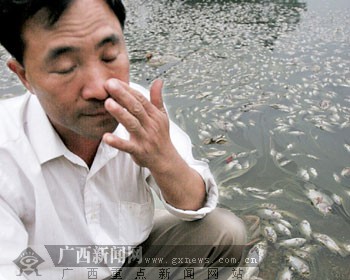 陈先生望着满湖死鱼,鼻子发酸.记者苑长军 唐辉吉/摄