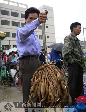 草药飘香引来四方客 靖西端午药市今日隆重开市