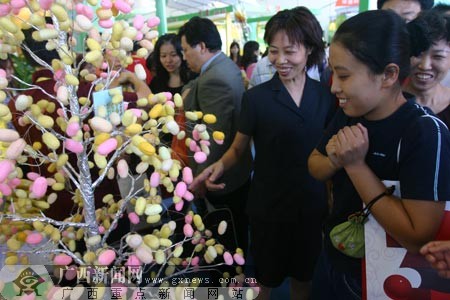 广西天然彩色蚕茧吸引观众(组图)