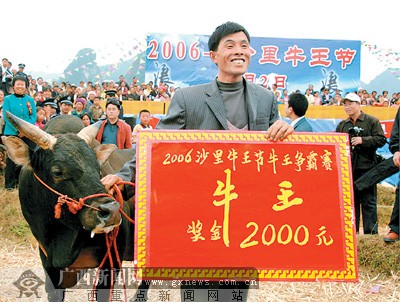 凌云县牛王节展示特色风情