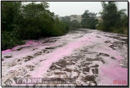 网友贴图
