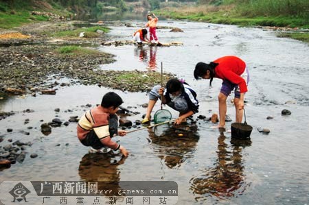 城乡清洁工程使河清澈 昭平县又现孩童捞鱼忙(图)