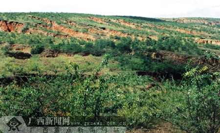 鄂尔多斯-中国未来沙棘之都