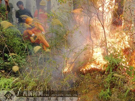 南宁市良庆区一山头突起大火 森林消防降火魔(图)