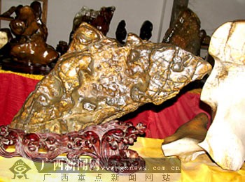 228万元造就神话 大化石演绎"疯狂的石头"(图)-广西新闻网
