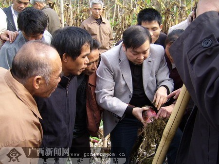 玉林2月29日讯(通讯员李国伟 何彦萍 记者麦一帆)2月28日上午,北流