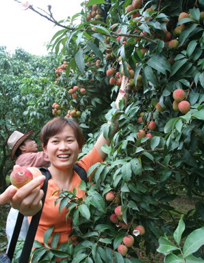 [原创]2009灵山荔枝节大卖生态游 邀万名游客品尝