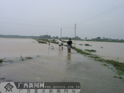 12个小时强降雨 宾阳县王灵镇数千亩农作物被淹