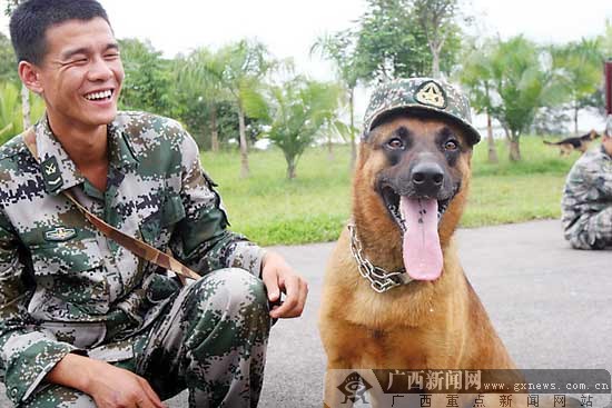 探访军犬训练基地:无言的战士 无悔的训犬兵(图