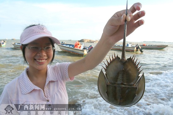 [原创]三娘湾观潮节开幕 市民尽享惬意海浪(图