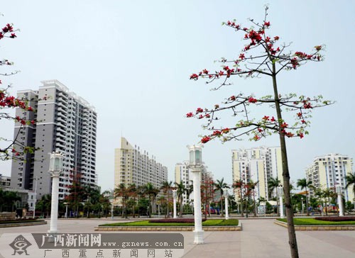 平果县旧城v旧城变新城城镇化率超30%(图)小学明星苏州图片