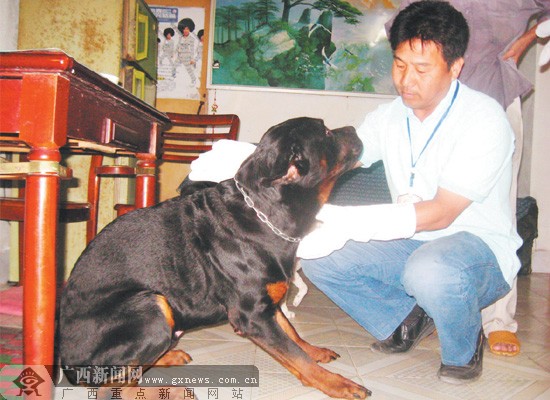 来到广西地矿局宿舍,对宿舍内存在的无证犬以及禁养犬进行警方入户