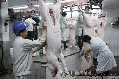 探访南宁最大生猪屠宰加工厂:放心肉是这样出笼的