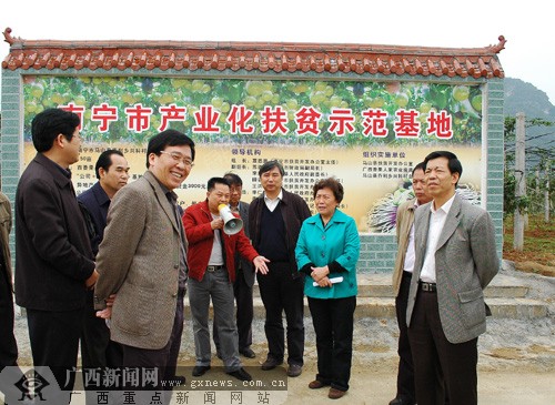 马山:发展百香果种植成农民脱贫致富好项目