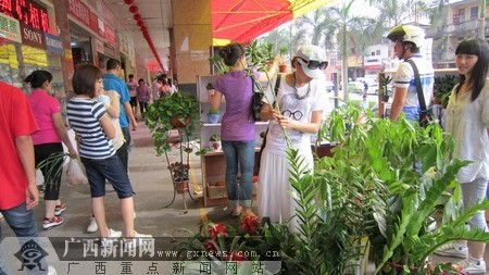 南宁粤发花鸟玉器市场“五一”试业(图)
