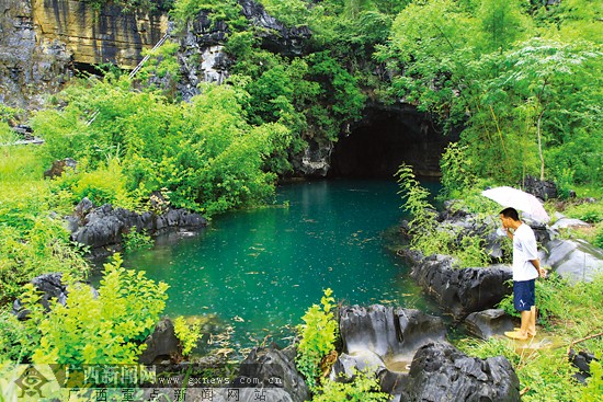 海里的水母为何会在都安岀现？709 / 作者:平安大叔 / 帖子ID:17803