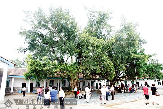 南宁-东盟经济开发区侨乡茶苑农家乐开门迎