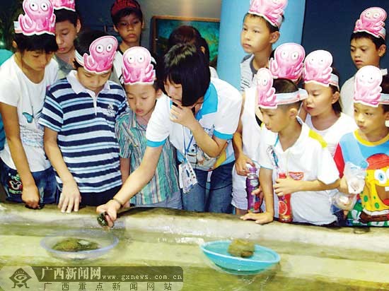 导游在给小朋友讲解海洋知识。 广西新闻网讯(记者 唐柳凤 实习生 陈燕 文/图)“这是最毒的鱼类,叫石头鱼;这是刺豚,它体内有毒素,一碰到危险立刻把身体的硬刺竖起来,就像刺猬一样。”7月27日上午,来自南宁市兴宁区人民东社区的低保户、贫困户及外来务工人员家庭的15个孩子,在社区和人民公园党工委、团工委的联合组织下,来到南宁海底世界免费游玩。这让孩子们兴奋不已。 “我第一次来这里玩,好神奇啊!”今年8岁的张靖,是一名外来务工人员子女,父母是菜市的小贩,从来没