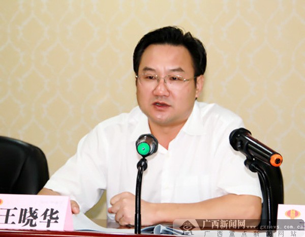 南宁市地税局局长王晓华在会上讲话. 广西新闻网记者 叶焱焱 摄