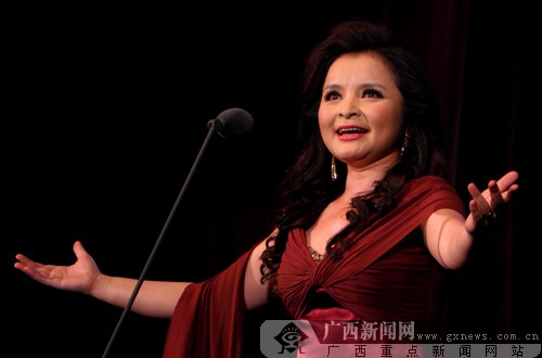 傅磬纪念音乐会在南宁举行[图]