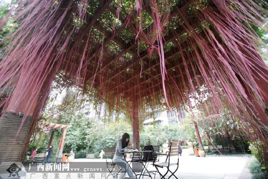 一小区中心花园凉亭很特别 千丝万缕织就一帘幽梦-广西新闻网