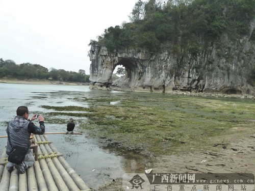桂林降雨量同比大减致漓江"枯" 河床裸露"象鼻"出