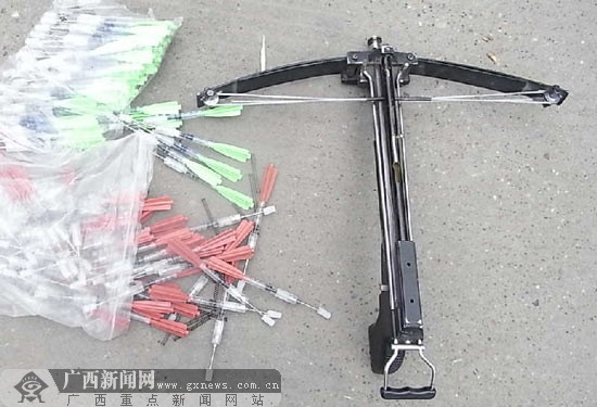 月21日上午,两名男子在柳城县大埔镇凉水山林场用弩箭接连射杀了5条狗