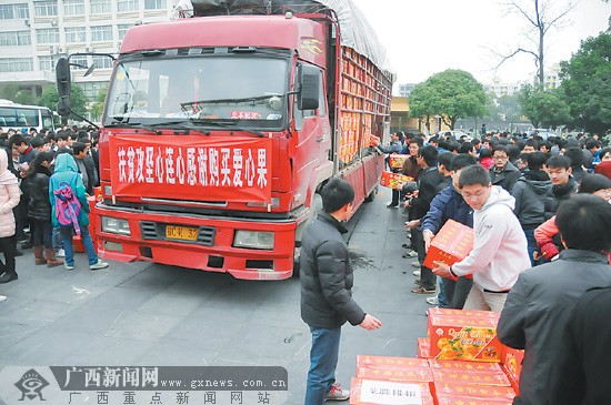 广西社会各界踊跃购买龙胜椪柑助农解困增收(图)