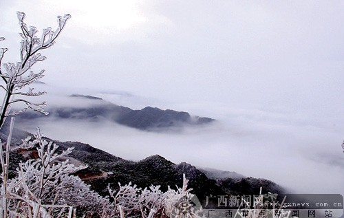 南宁大明山景区再一次迎冰雪雾凇和云海奇观(图)