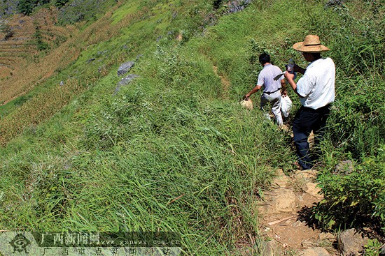 广西扶贫攻坚背后有个智囊团 为决策提供理论支持